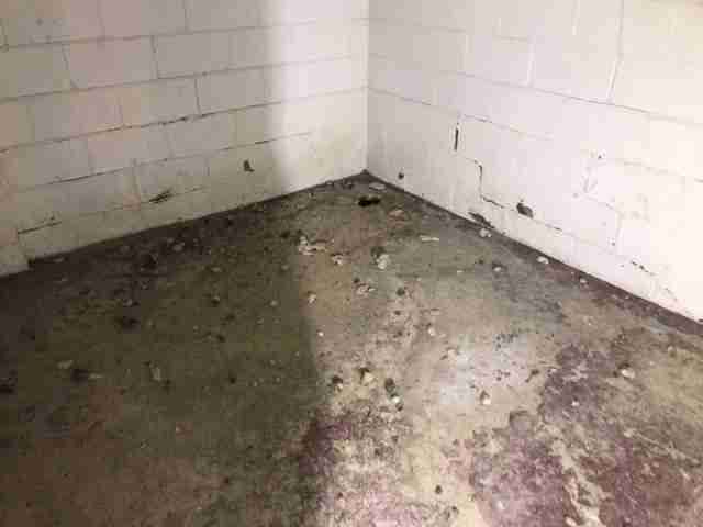 Testing again(48).jpg